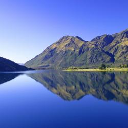 Wanaka 344 hotels