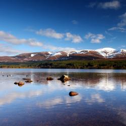 Aviemore 114 hotelov