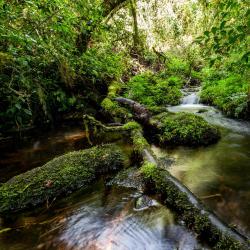 Marangu 3 lodges