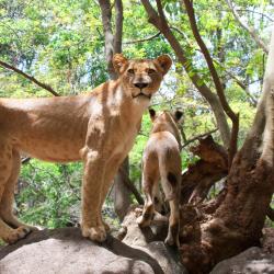 Ebene 16 acomoda&ccedil;&otilde;es
