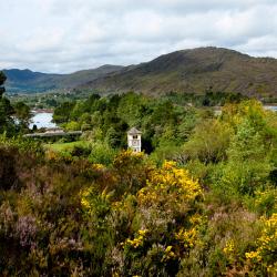 Glengarriff 5 of the villas