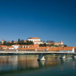 Ptuj 26 apartments