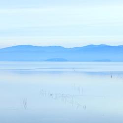 Passignano sul Trasimeno 3 farm stays