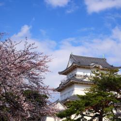 Odawara 27 hotels with parking
