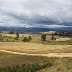 Tunja 6 cottages
