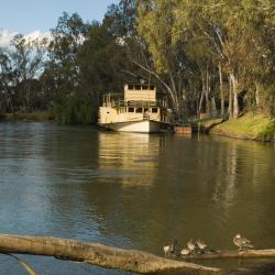 Bonegilla 1 готель