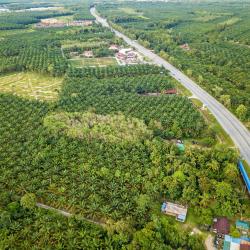 Pantai Remis 3 hotel ramah hewan peliharaan