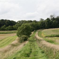 East Halton 3 hotely