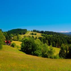 Ustroň 7 of the cabins