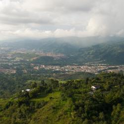 Bucaramanga 134 hôtels acceptant les animaux domestiques