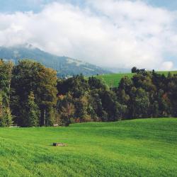Herisau 9 hotelů pro pobyt s domácími mazlíčky