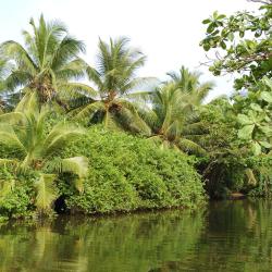 Kotmale 3 hoteles con estacionamiento