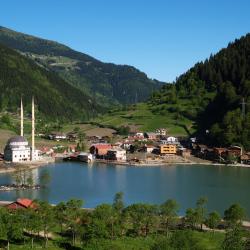 Uzungöl 167 hotel