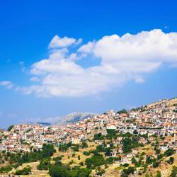 Arachova 14 guest houses