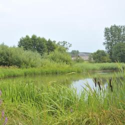 Genval 5 hotel con parcheggio