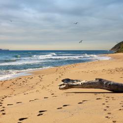 Obzor 137 alojamentos na praia