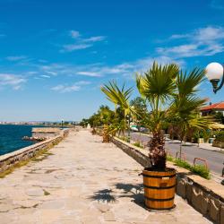 Pomorie 496 hotels