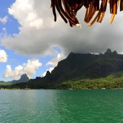 Teahupoo 3軒のアパートメント