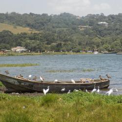 Kalangala 3 cheap hotels