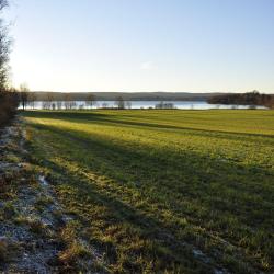 Ekshärad 17 holiday rentals