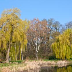 Gardelegen 9 Unterk&uuml;nfte