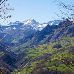 Cangas del Narcea 3 bed and breakfast