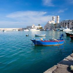 Molfetta 35 vacation homes