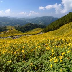 Mae Hong Son 8 of the B&Bs