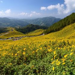 Mae Hong Son 10 guest houses