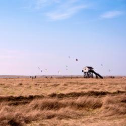 Ording 30 hotels