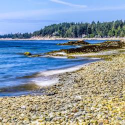 Roberts Creek 5 hotels