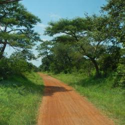 Gulu 4 guest houses