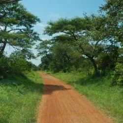 Gulu 11軒の格安ホテル
