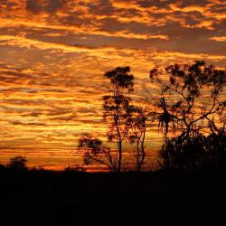 Cunnamulla 4 hotel