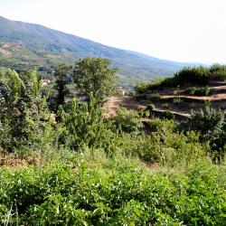 Navaconcejo 16 Hoteles con alberca