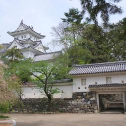 Ogaki 35 hotels with parking
