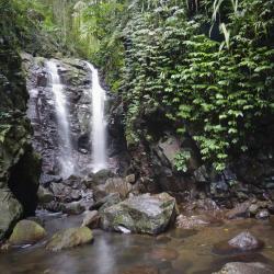 Canungra 3 các khách sạn có bồn tắm nóng