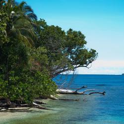 Honiara 18 hotelů