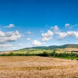 Rothbury 6 B&B