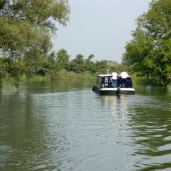 Saint Neots 5 self-catering accommodations