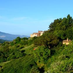Rogliano 3 pet-friendly hotels