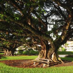 Palm Beach Gardens 18 family hotels