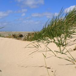 Slettestrand 10 boliger ved stranden