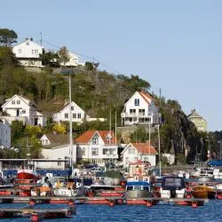 Gjeving 3 pet-friendly hotels