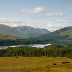 Bridge of Orchy 4 h&oacute;tel me&eth; b&iacute;last&aelig;&eth;i