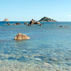 Àrbatax 6 of the resorts