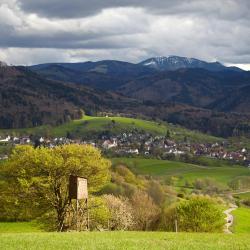 Merzhausen 3 hotels