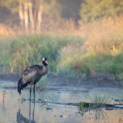 Visaginas 9 hot&eacute;is na praia