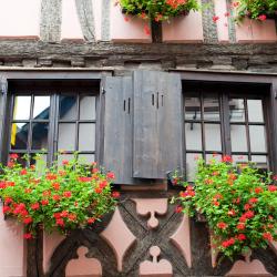 Le Hohwald 3 cabañas y casas de campo