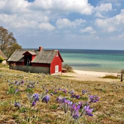 Kivik 16 cottages